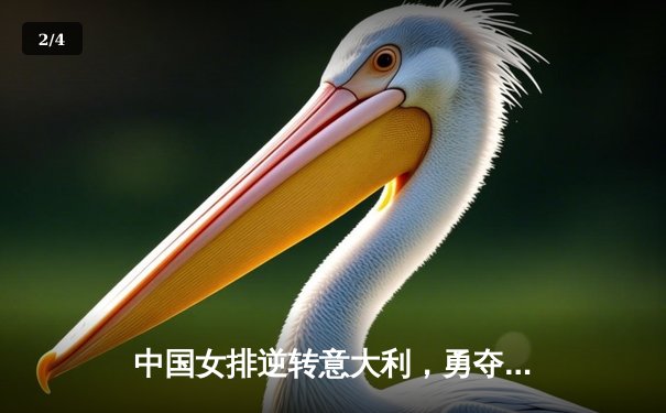 中国女排逆转意大利，勇夺世界女排联赛总决赛冠军 - 2